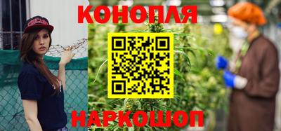 шишки Жуковский