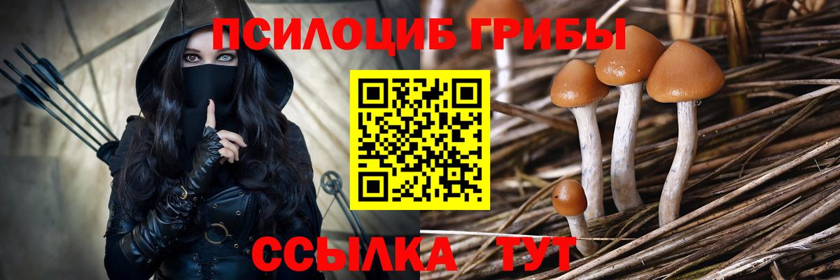 Галлюциногенные грибы ЛСД  Вход с VPN  Томск  Псилоцибиновые грибы GOLDEN TEACHER 