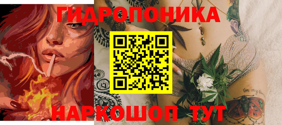 Бошки марихуана план Томск